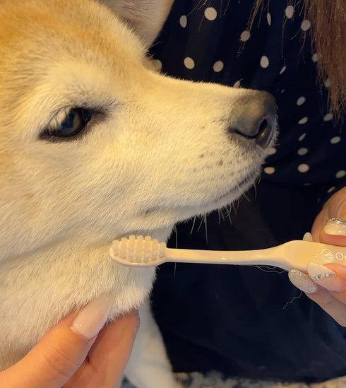 OraBio オーラバイオブラシ ラージ